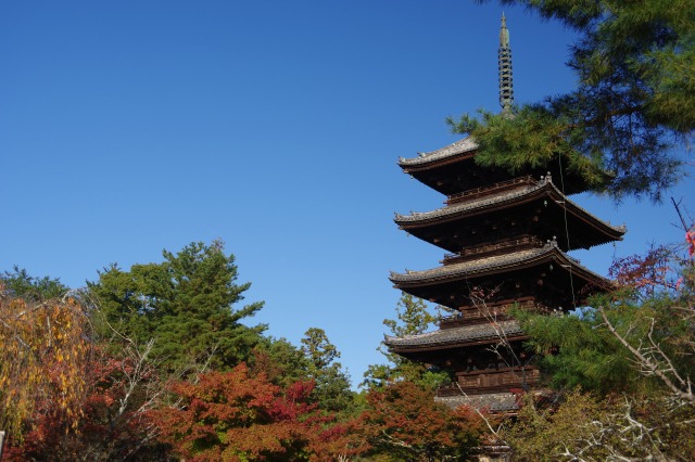 仁和寺